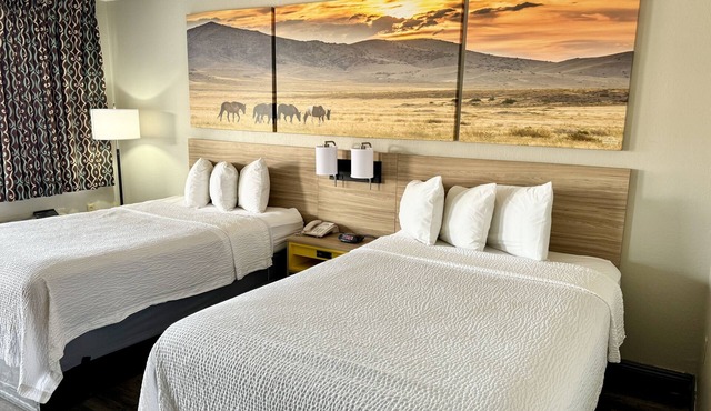Days Inn by Wyndham Van Horn TX