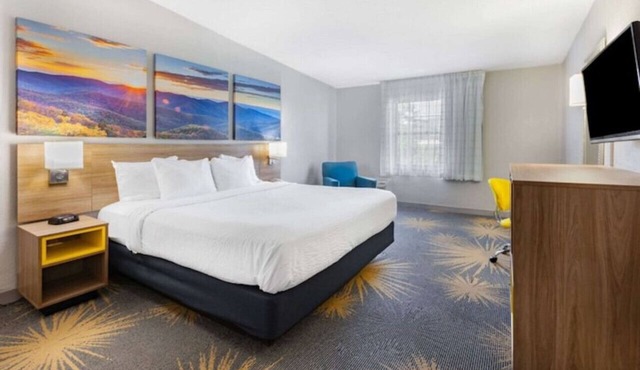 Days Inn I81 king bed