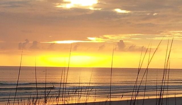 DAYTONA 500 RACE RENTERS ARE WELCOME WEEKLY RENTS ARE LESS 10%