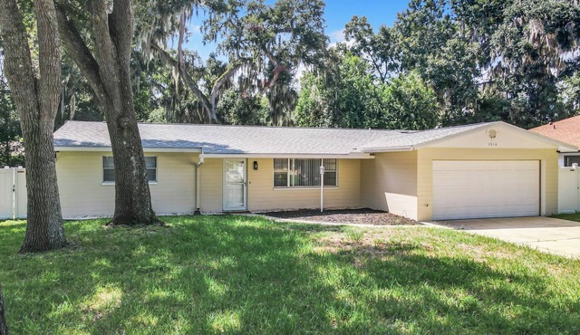 Daytona's Perfect 10