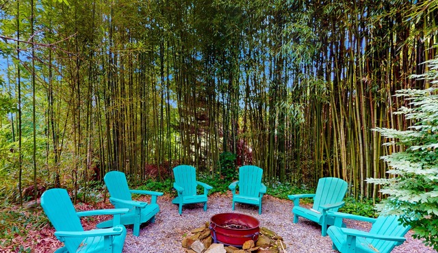 Dazzling retreat: 2 Suites, mtn views - 20 Min to Biltmore Estate in Asheville