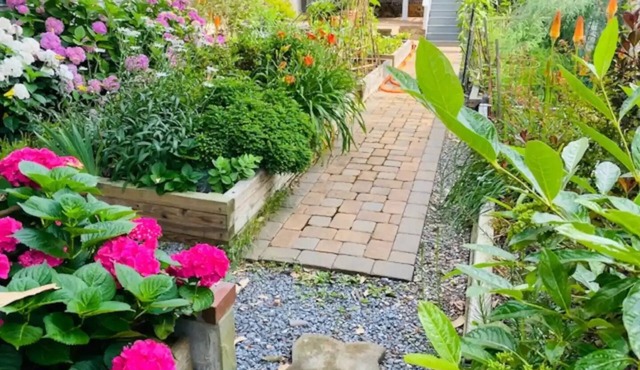 DC Garden Stay: Apartment + ArtStudio + Parking