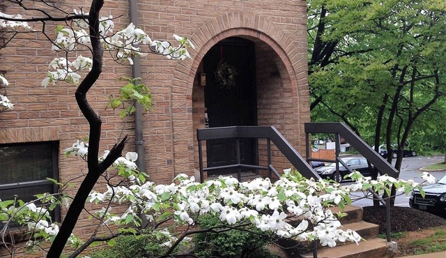 DC Gem- A charming hidden oasis