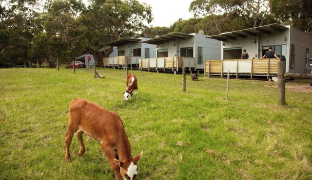 DE 1 - Deluxe Open Plan Cabin