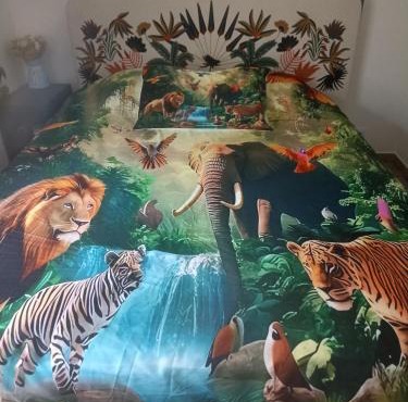 De l'Amazone à la Savane