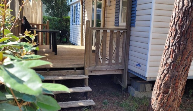 De L'anse À La Coubre