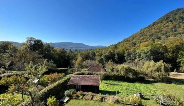 "De l'herbe jusqu'à les genoux" - 2-room apartment