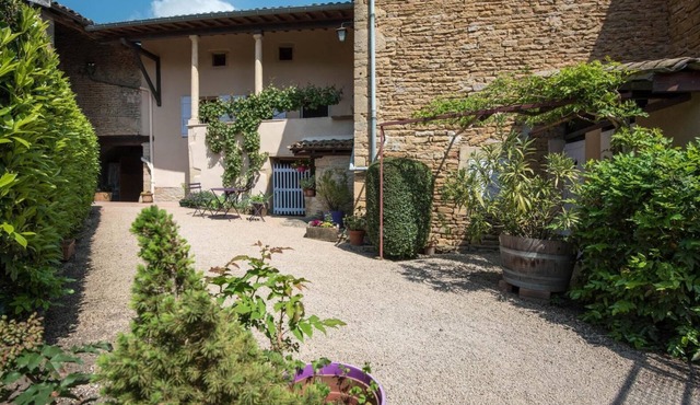 De Pierre et de Vigne