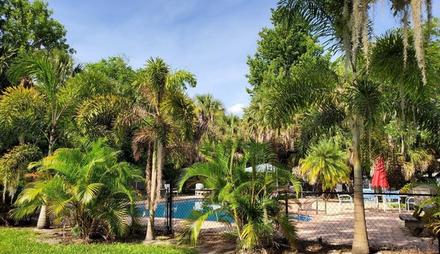 DEALS up 2026 BEACH, LARGE POOL, HOTTUB, GRILL,PET, F.YARD,