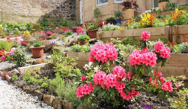 Dean Park Guest House