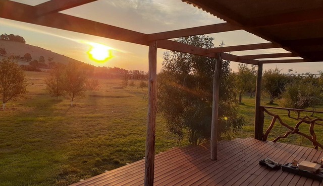 Deep Earth Sanctuary: Rustic Elven Tiny House