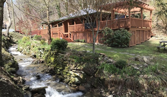 Deep in the mountains, where Black Bear once roamed abundantly