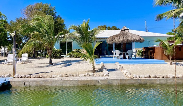 Deep Water Canal, Swim Spa Pool, Kayaks, Walk to Ocean Front Bars & Restaurants!