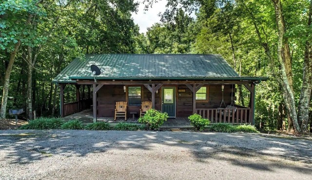 Deer cabin. This modern log cabin with HOT TUB is a large studio with all of the 'bells and whistles' !