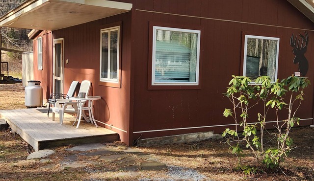 Deer Charming 2-bedroom Fly Fishing cabin with WiFi, AC in Waterville, PA
