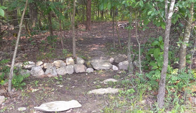 Deer Creek @B Berry Farms