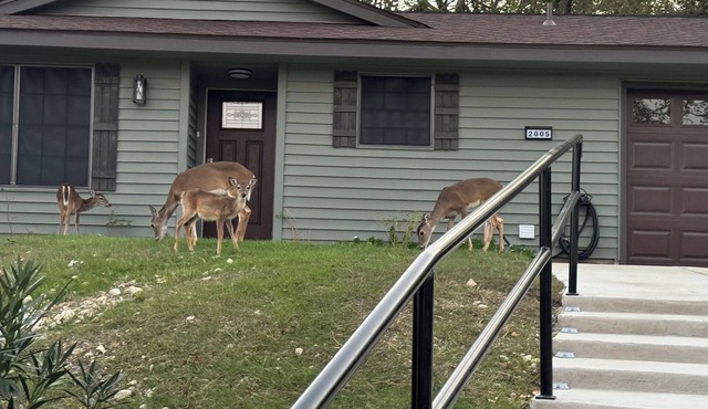 Deer Hill - Charming 3-bedroom house with WiFi and AC overlooking Copperas Cove