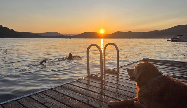 Deer Lake Cabin Retreat with private beach access - quiet clean lake!