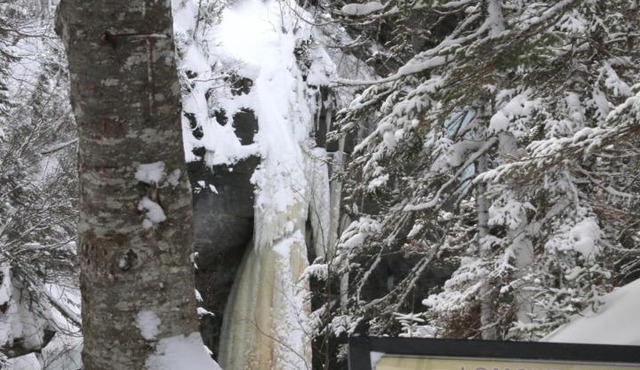 Deer Lake Horizon Hotel, BW Signature Collection