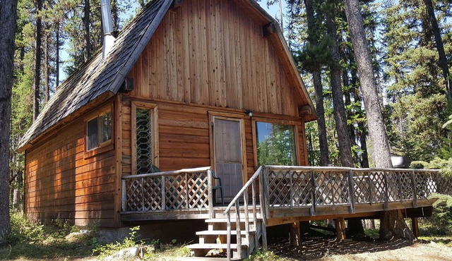 "Deer Leap" Rustic Cabin Hidden Among The Pines.