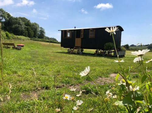 Deer Lodge Shepherds Hut