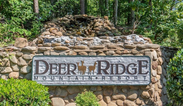 Deer Ridge Mountain Resort