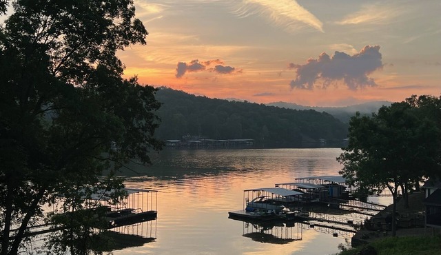 Deer Run at Station 46