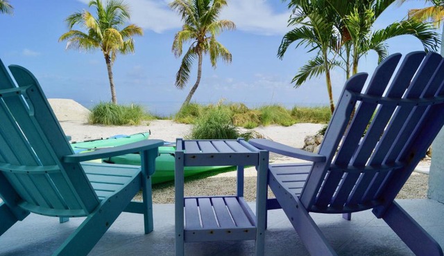 Deer Run on the Atlantic