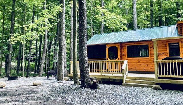 Deer Run Summary: The