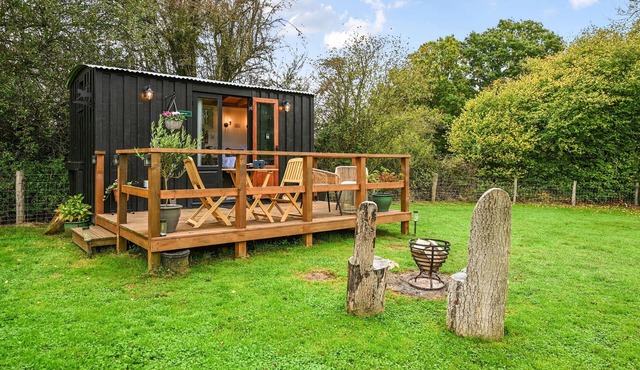 Deer Shepherds Hut - a holiday let that sleeps 2 guests in 1 bedroom