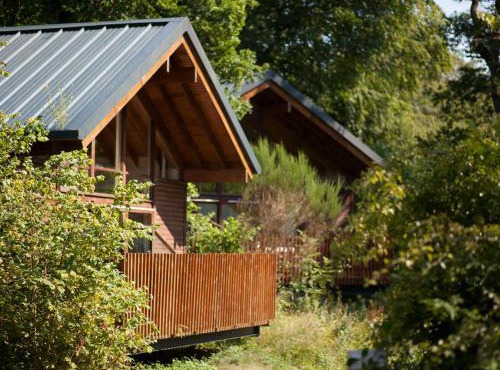 Deerpark Cabins, Cornwall - Forest Holidays