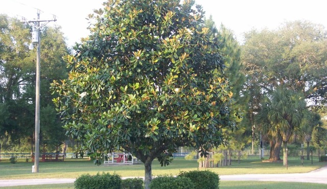 Deerwood Inn and Madison Campground