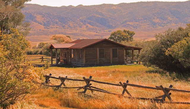 Deerwood Station- Relax in Our Beautiful Guest Cabin!