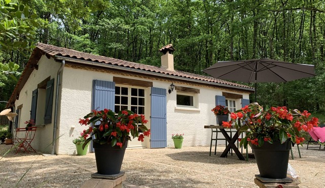 Deffé Dordogne - charming renovated house