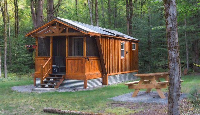 Deja Yu- Off Grid Forest Glamping Getaway - 1 Bedroom Cabin & detached Bathroom