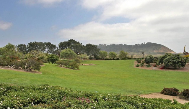 Del Mar Luxury Ocean View Condo -Steps to Torrey Pines State Beach -
