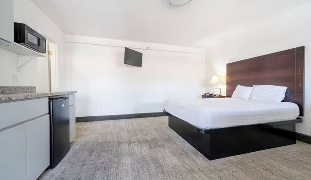 Delight in Portland's Heart from Spacious, Affordable Room