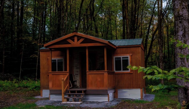 Delightful 1-bedroom offgrid cabin in charming Camden awaits you Shared Bathroom