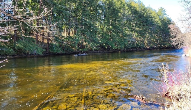 Delightful 2-bedroom apartment on mountain estate along the Battenkill River