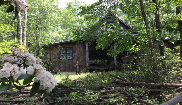 Delightful 2-bedroom cabin in Monterey perfect for a relaxing getaway