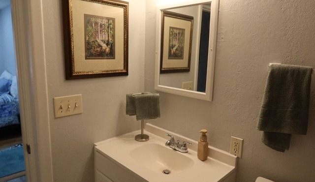 Delightful 3-bedroom house in St. Petersburg~10/15 minutes to beach~Fenced yard