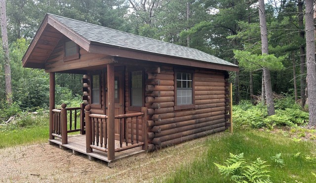 Delightful cabin in Big Rapids for a cozy getaway