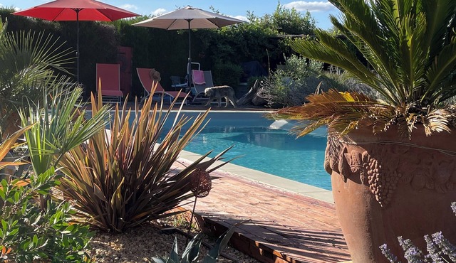 Delightful french rustic studio in the Dordogne. We welcome your pet!