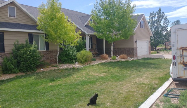 DELIGHTFUL FARM STAY WITH ANIMALS-