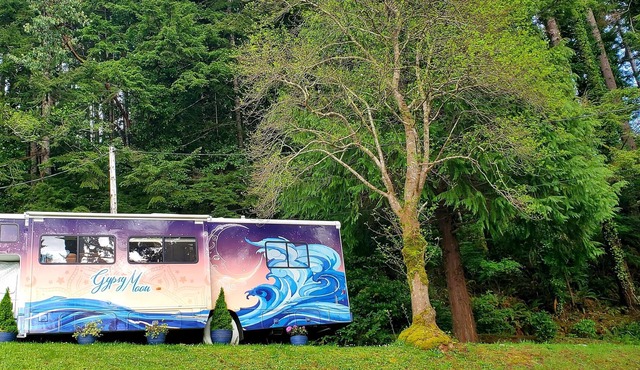 Delightful Gypsy Moon Remodeled RV with Bay View