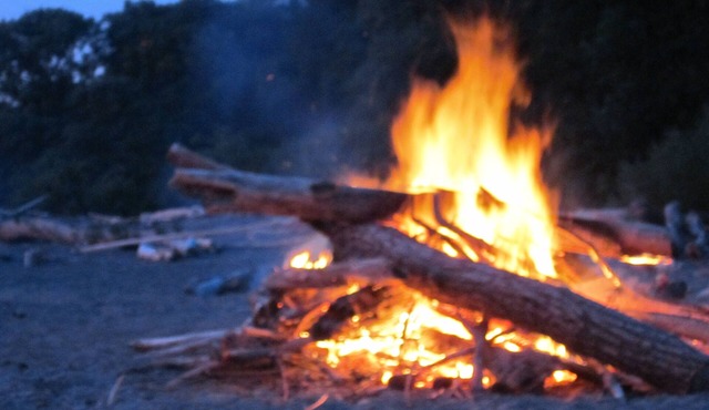 Delightful Lake Erie Cottage