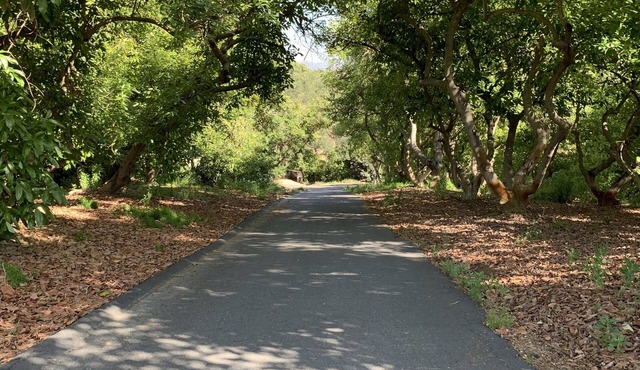 Delightful newly renovated 2 bedroom nestled within an avocado grove.