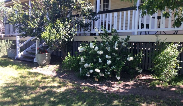 Delightful Queensland .Country Cottage.With Comfort and Style