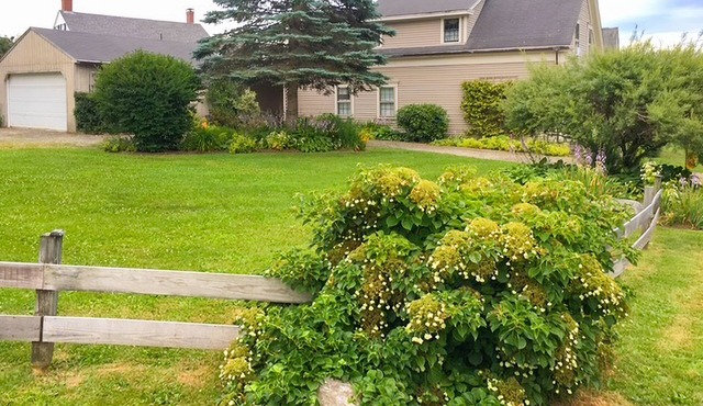 Delightful Seaside Retreat with Ocean Views, Wifi, and Private Washer & Dryer