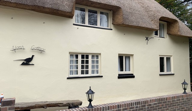 Delightful thatched cottage in beautiful sleepy Dorset village and countryside